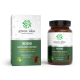 REISHI - imunita, srdce, cholesterol