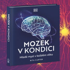 Mozek v kondici
