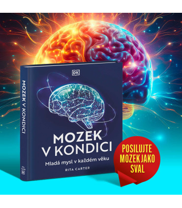 Mozek v kondici