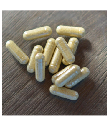 Cordyceps – zázrak čínskej medicíny