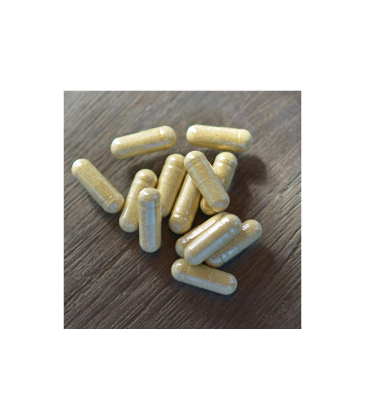 Cordyceps – zázrak čínskej medicíny