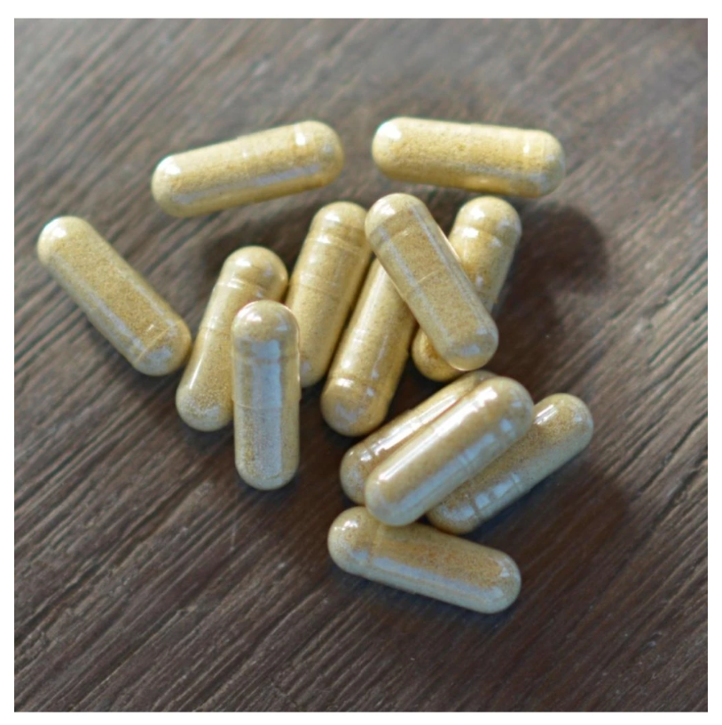 Cordyceps – zázrak čínskej medicíny