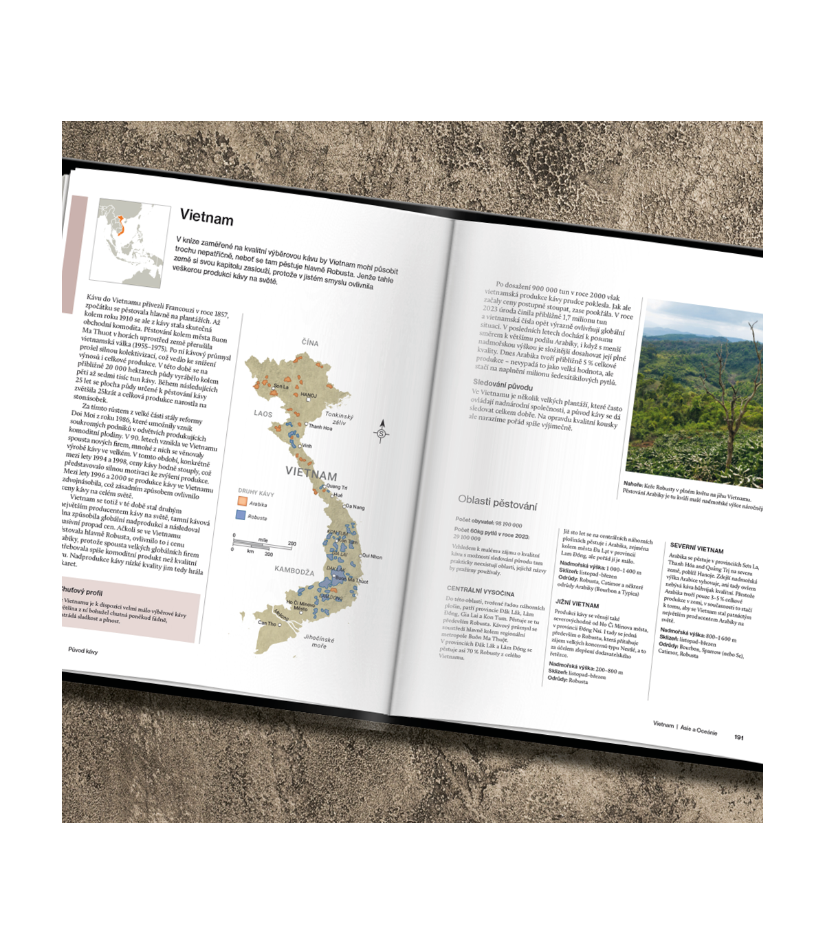 Kniha Bible kávy | Babičkárstvo