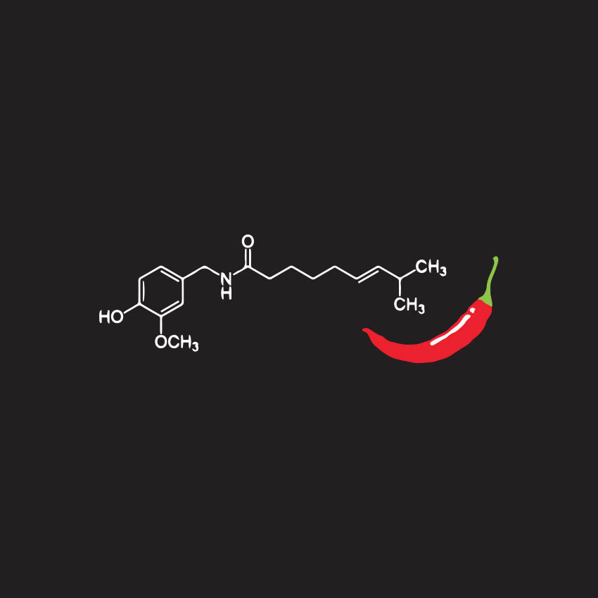 Dámske tričko, chilli, L