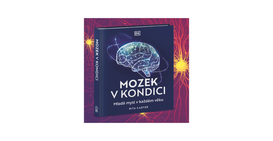 Mozek v kondici: Ako si udržať sviežu myseľ v každom veku