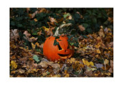 Jeseň ovláda Halloween a Dušičky, ktorému sviatku dávate prednosť?